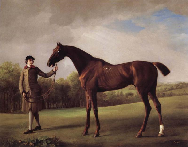 George Stubbs Lustre hero by a Groom